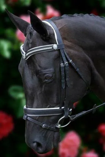 White Padded 3 Row Crystal V with Shields Snaffle Bridle